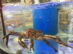 -盒马鲜生(悠方店)