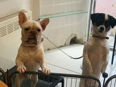 -平行世界·猫咖(首经贸店)