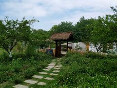 -桤木河湿地公园