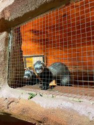 -酷嗒动物文化乐园(cutezoo西溪乐天城店)