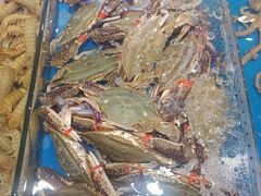 -北塘海鲜·天津菜(大光明桥旗舰店)