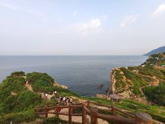 -杨梅坑
