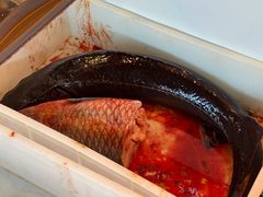 -江湖水乡铁锅炖魚(周庄嘉园店)