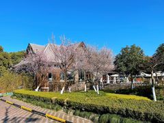 -金桥现代产业园区-停车场