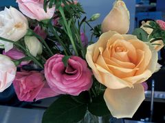 -LINLEE林里·手打柠檬茶(惠城仲恺天益城店)