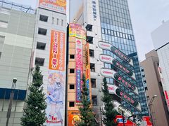 -秋叶原电器街
