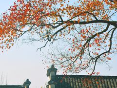 -塔川景区