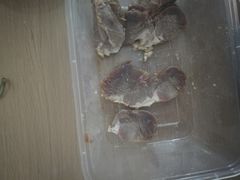 -周记卤菜店(广济北路店)