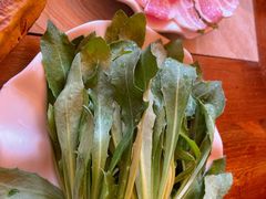 藏红花苗-顺顺小吃(独克宗古城店)