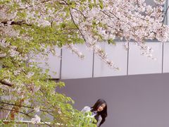-上海南浦大桥长途旅游客运站