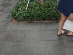 -农畉LONFOOD(万象天地店)