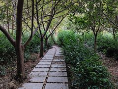 -九龙潭景区