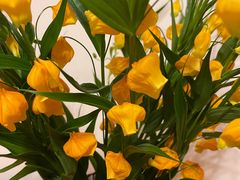 -双季花艺园艺市场(浦东店)