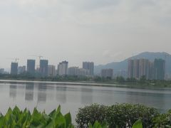 -飞来湖湿地公园