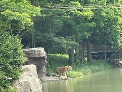 -宁波野生动物园