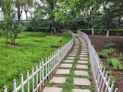 -云岗森林公园