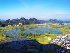 -会仙湿地
