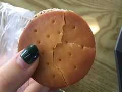-寻味唐派·牛奶手撕面包(府前街店)