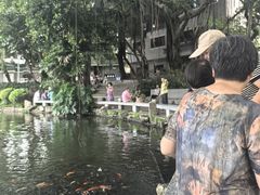 -荔湾湖公园