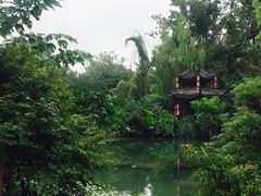 -四川大学(华西校区)