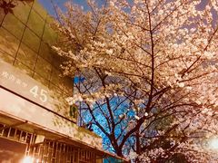 -南浦大桥长途旅游客运站