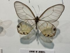 -吉林省自然博物馆