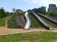 -顺峰山公园