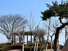 -棒棰岛宾馆景区
