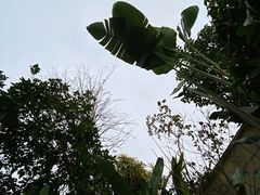 -海兰云天度假区温泉