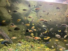 -苏州海洋馆