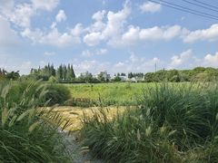 -嘉北郊野公园