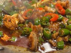鲜青椒牛蛙哈哈烤鱼-探鱼·鲜青椒爽麻烤鱼(番禺万达店)