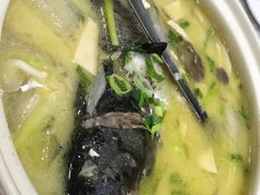 -蝶苑(吴江路店)