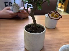 -CURRY YA 熟成咖哩專門店(深圳湾万象城店)