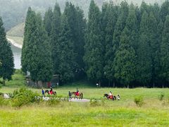 -玉舍国家森林公园