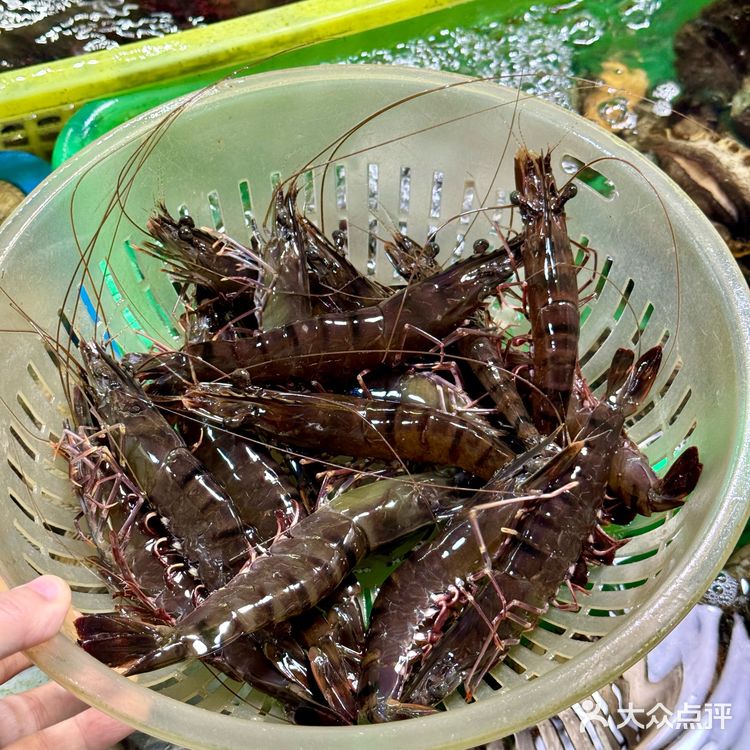 小青龙，大螃蟹，生蚝，鲍鱼，海螺！这一堆才花了三百多