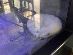 -海合安成都极地海洋公园