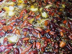 -雲蜀龙阁·金牌水煮鱼(方庄店)