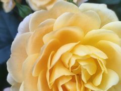 -成都中医药大学(温江校区)