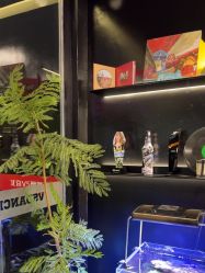 -北京V5舞蹈工作室