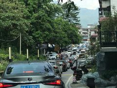-广州市流溪河国家森林公园