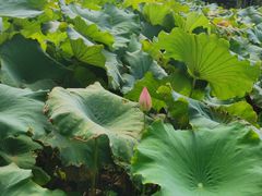 -丝绸小镇荻港古村
