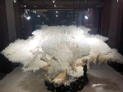 -游龙石文化科普馆