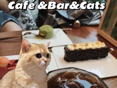 -咖法森林·咖啡  酒吧(天河店)