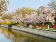 -海棠花溪(元大都城垣遗址公园)