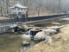 -白水寺森林公园