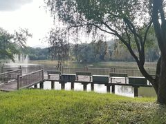 -福建鲤鱼洲酒店