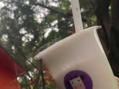 -一只酸奶牛(奎星楼店)