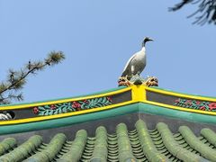 -叶家花园