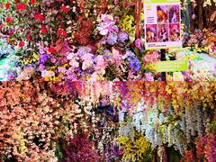 -正佳雨林生态植物园